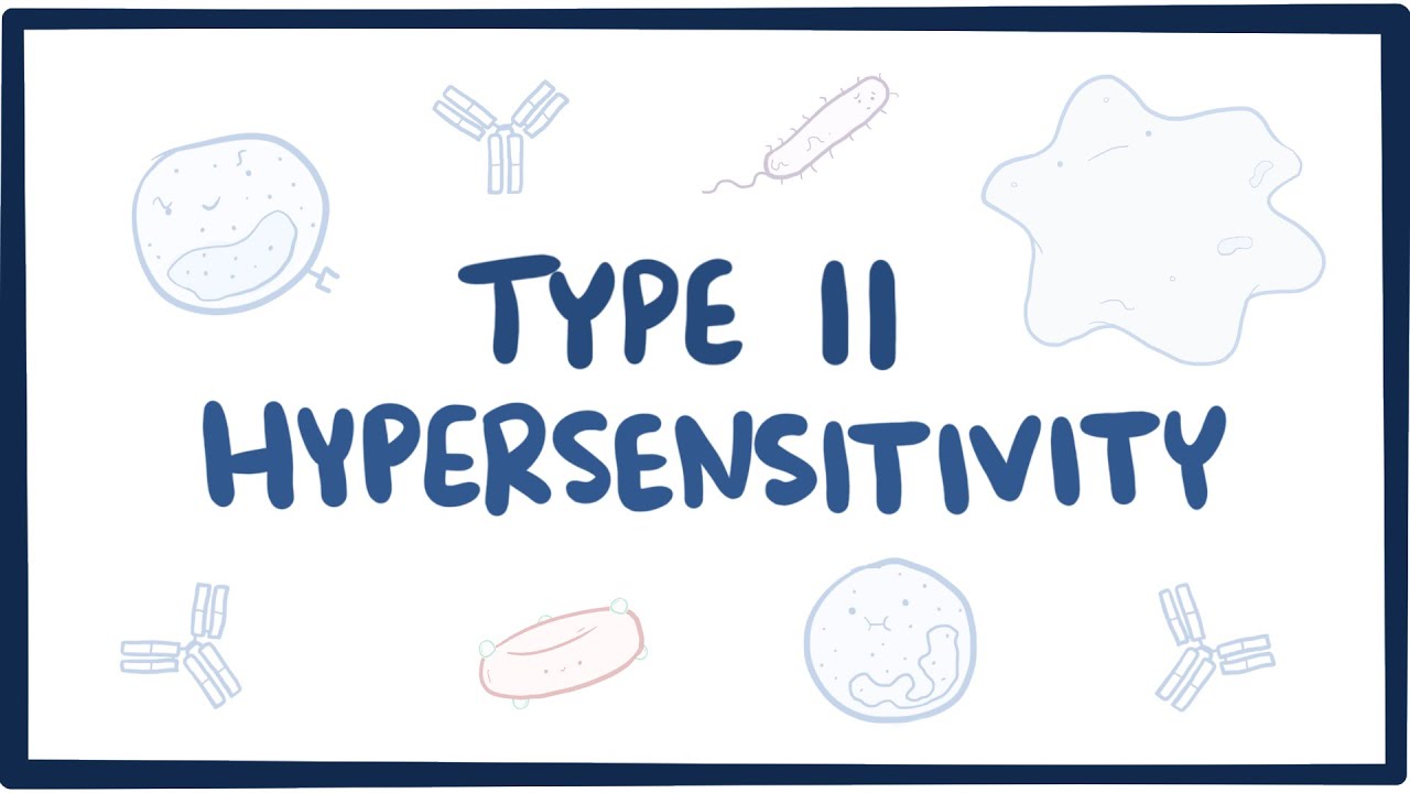 Type II hypersensitivity (cytotoxic hypersensitivity) - causes, symptoms, & pathology