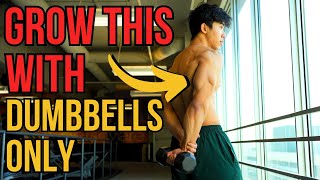 The ONLY 3 Tricep Exercises You NEED for BIGGER Triceps (DUMBBELL ONLY)