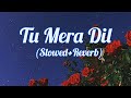 Tu Mera Dil Slowed Reverb Falak Tunes Yard