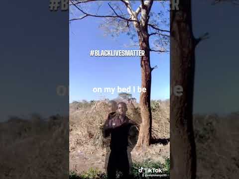 #music /embed/thatsmikelpex/song/fe