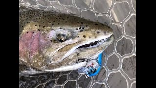 Rapala bx jointed shad 6