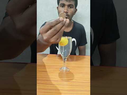 lemon flipping coin in water #shorts #power #slack