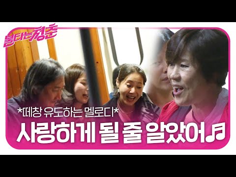 [풀버전] 신효범, 담백하게 부르는 울림 있는 노래 ♬사랑하게 될 줄 알았어♬ㅣ불타는 청춘(Young Fire)ㅣSBS ENTER.