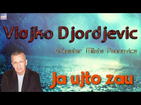 Vlajko Djordjevic - Ja ujto zau // MuzikaUzivo019