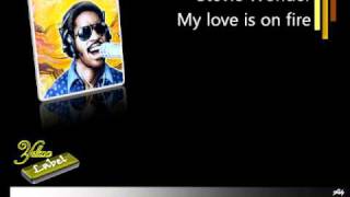 Stevie Wonder - My love is on fire [AUDIO HD]