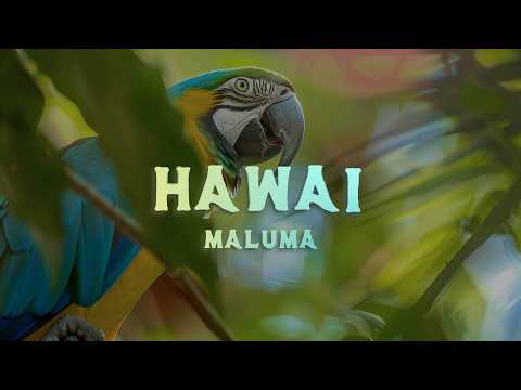 Maluma - Hawái