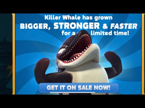 Killer Whale (stronger,bigger & faster) Get on Sale Contest ! - Hungry Shark World