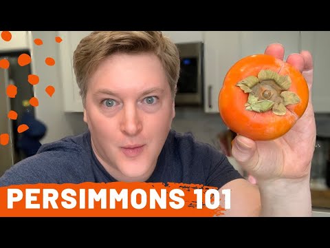 What is a Persimmon? | Fuyu and Hachiya