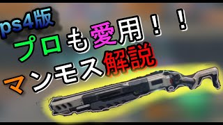 【PS4版】現環境最強マンモスの徹底解説と練習方法！！【HyperScape・ハイパースケープ・攻略】