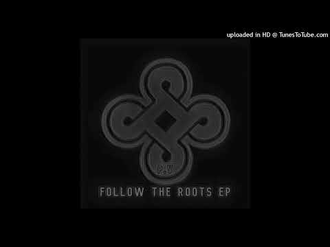 P.V - P.V — Follow The Roots