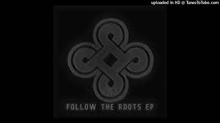 P.V — Follow The Roots