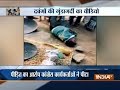 Party worker beats up a man in MP for not voting for Congress