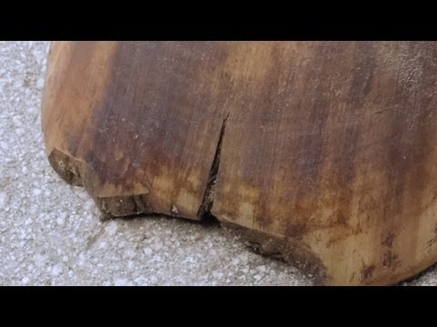 Do it Yourself Hoof Crack Repair