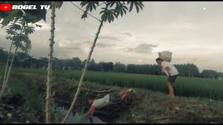 Download lagu NGARET NENG SAWAH Cerita kehidupan anak desa mp3 Download lagu NGARET NENG SAWAH Cerita kehidupan anak desa mp3