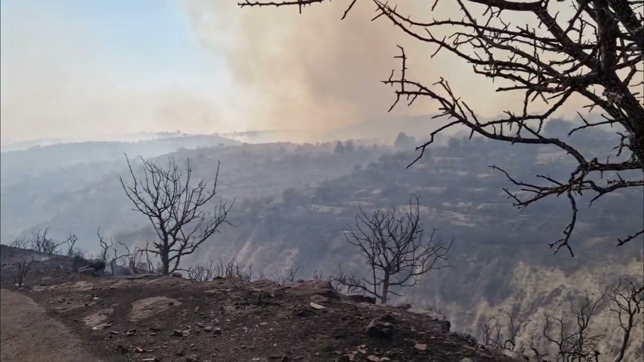 Πυρκαγιές σε Λεμεσό και Πάφο -Κάηκαν σπίτια, εκκενώθηκαν κοινότητες, ένας τραυματίας με εγκαύματα -Βίντεο