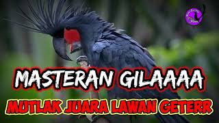 Download lagu masteran super. adu tembakan mp3