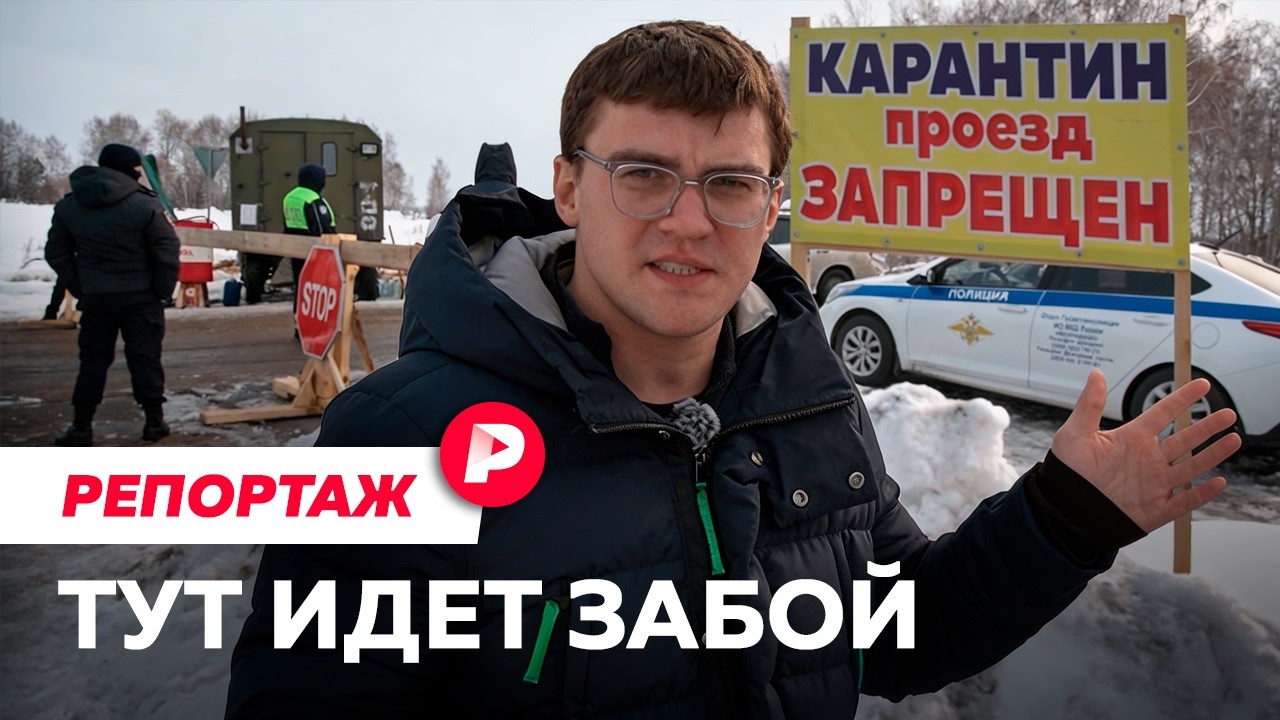 Репортаж из Новосибирской области, где уничтожают скот