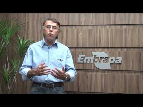 Leiteiro: décima planta daninha resistente ao glifosato