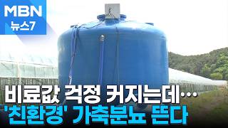 중동발 비료 불안 해결사 될까…냄새 줄인 '친환경 가축분뇨' 관심 급증 [MBN 뉴스7]