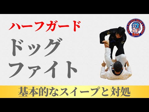 ドッグファイト　基本的なスイープ