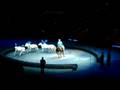 Ringling Brothers And Barnum Bailey Part 1
