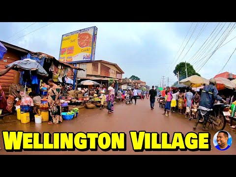 Welcome To WELLINGTON VILLAGE - Freetown 🇸🇱 🌍 Roadtrip 2022 - Explore With Triple-A