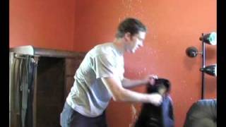 Elvis Costello - Worthless Thing music video