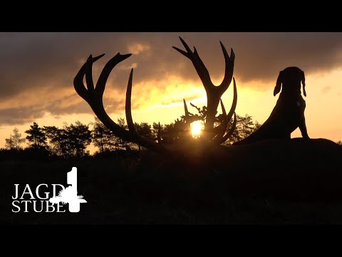Hirschbrunft Podanin 2020 - Vater und Sohn im Waidmannsglück