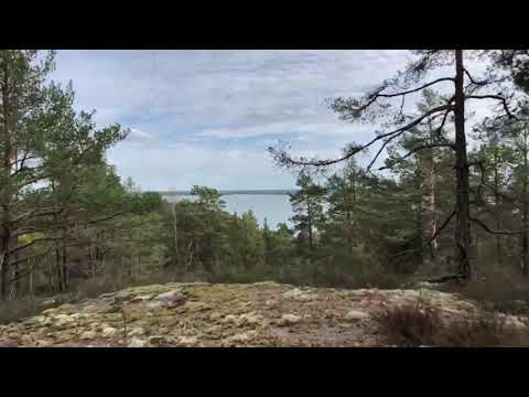 KolmårdsRundan HöstTrail 10K