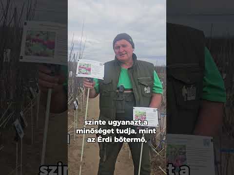 Meggy fajtaajánló: Érdi bőtermő és Debreceni bőtermő videó