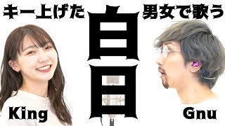 白日をキー上げて美女と歌ってみた!! mqdefault - 白日をキー上げて美女と歌ってみた!!