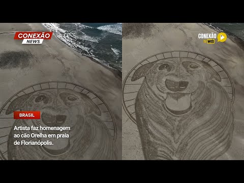 Vídeo: Artista faz homenagem ao cão Orelha em praia de Florianópolis.