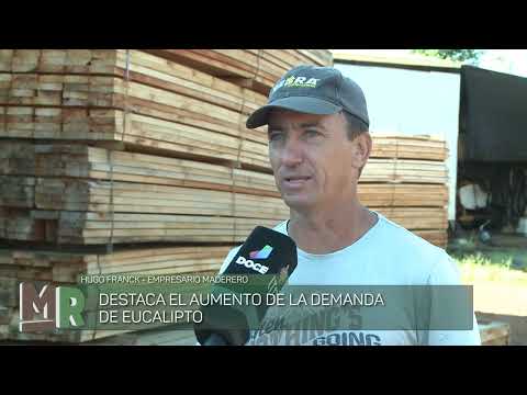 ¿CUÁL ES LA DISTANCIA IDEAL PARA PLANTAR EUCALIPTO?