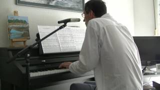 Julien Clerc/Gérard Manset- Je suis un grand cygne blanc(cover)