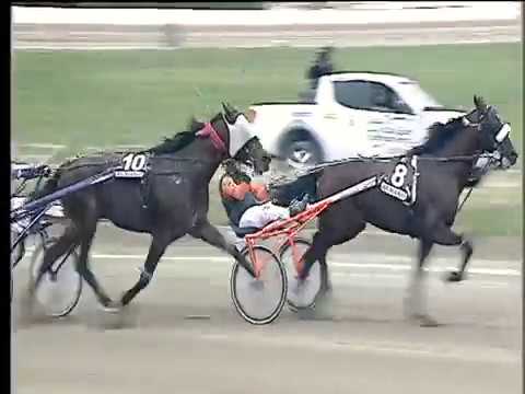 Trotto 22/10/2017 - 4ª corsa