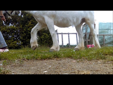 démarche Houry 7 5 2017