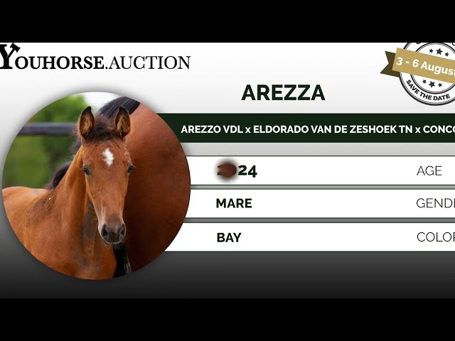 Arezza