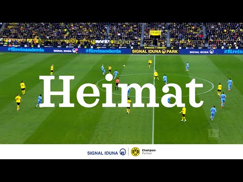 Video 9 SIGNAL IDUNA Versicherung Tesfai Tewolde - Versicherungsagentur