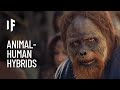What If We Created Hybrid Human Animals