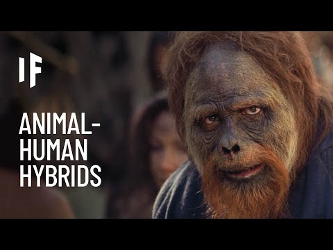 What If We Created Hybrid Human-Animals?