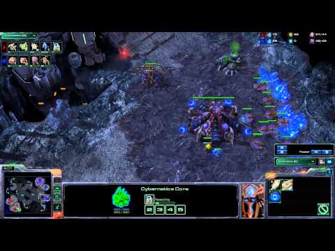 ROG Liquid.TLO v Rog.Elfi g2