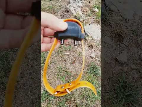 Pet Safe Wireless Fence System