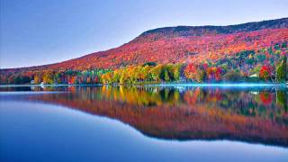 Stompin' Tom Connors   ,,,,,Land Of The Maple Tree