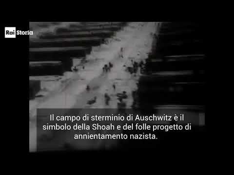 La liberazione di Auschwitz