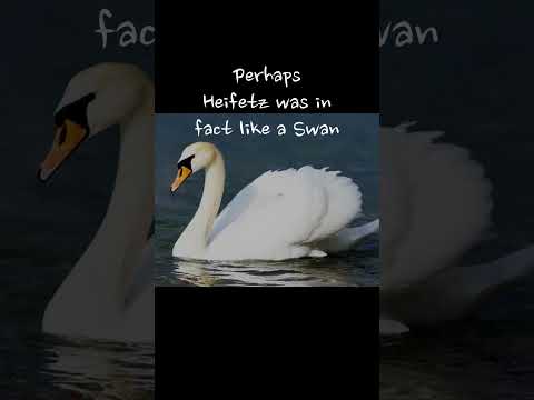 Jascha Heifetz - Poker Face?