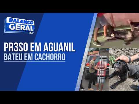 HOMEM É PRESO POR AGREDIR CÃO EM AGUANIL