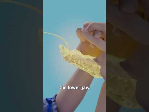 How To Make A Hand Viper 🤔