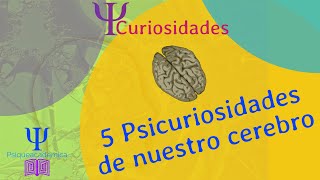 5 curiosidades de nuestro cerebro