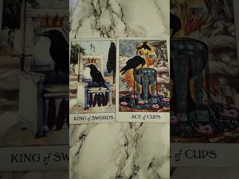 Daily #tarot advice September 17th 2019