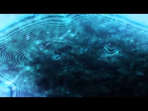 Alexei Borisov & Tania Stene - Disclose (PF FSV2)